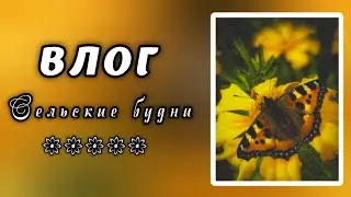 ВЛОГ. Сельские будни.