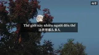 [Vietsub+Pinyin] Thế giới này nhiều người đến thế - Mạc Văn Uý | 《这世界那么多人》莫文蔚 ｜ 𝑬𝒎𝒑𝒕𝒚 𝒘𝒐𝒓𝒍𝒅~