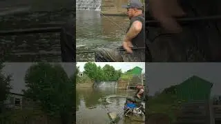 Who loves a bit of stick float fishing?  #fishing #river #grayling