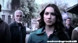 pretty little liars :// crack #8 (Humor)