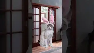 He just wanted to see his friends 😥 