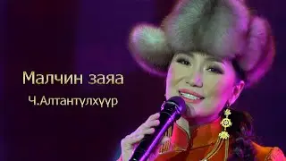 Altantulkhuur - Malchin zaya | Алтантүлхүүр - Малчин заяа