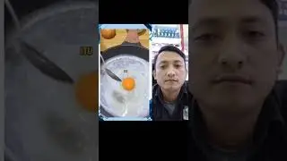Bertelur di kasur