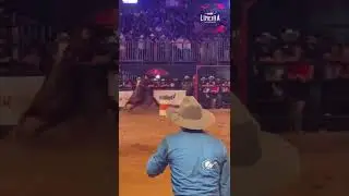 Barrel Racing #barrelracing #cavalo #cavalos #rodeio #rodeios #rodeo #trestambores