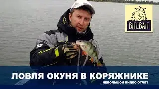 ЛОВЛЯ ОКУНЯ на джиг в коряжнике. ZETRIX AMBITION-X 762LL