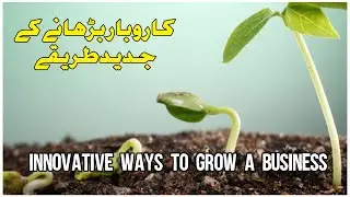 Innovative ways to grow a business