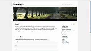 Posts vs Pages - Wordpress 3.0 Training