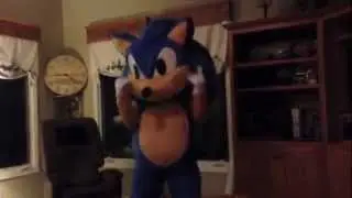 Harlem Shake Sonic Edition