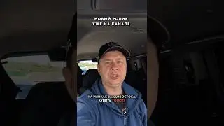 НОВЫЙ АВТОРЫНОК❗️ Купили САМЫЙ ПОПУЛЯРНЫЙ МИНИВЭН Toyota ВНЕ САНКЦИЙ❗️ Toyota Sienta