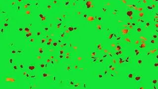 Falling Autumn Leaves Green Screen