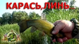Рыбалка на ПОПЛАВОК. КАРАСЬ,ЛИНЬ...