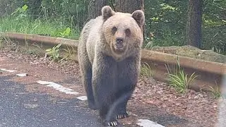 дорога Transfăgărășan одна из самый красивых в Румынии
