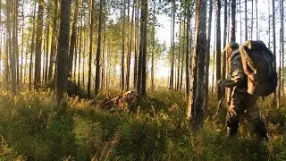 В поисках шамана