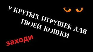 9 интерактивных игрушек для кошки с Алиэкспресса!