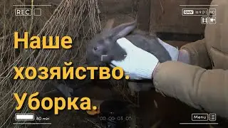 Дела домашние.Стройка подождёт