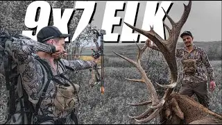 ELK HUNTING THE RUT | 9X7 ALBERTA BULL | S1 | E33 | ALPINE CARNIVORE