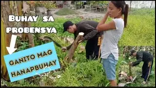 Hanap Buhay ko sa Probensya