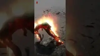 is bachche ko dekhiae sarir me aagh lag gaya aagh bujhane ke liye kado me kud gaya