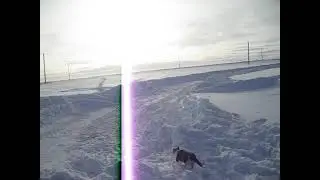 Снег.Подарю.Самовывоз.)