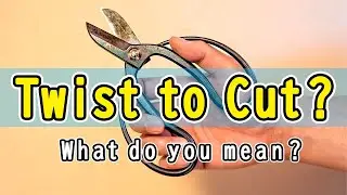 Save This! How to Use Ikebana Scissors!
