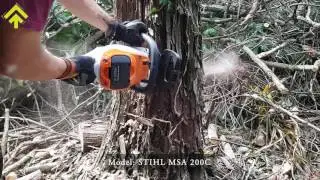 How to cut down a tree by using a battery chainsaw  | SuPerAlberi