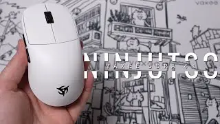 Vaxee x Ninjutso Sora 4K Review