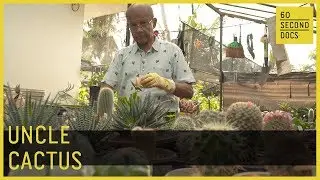 Uncle Cactus | Nimal Ramachandra // 60 Second Docs