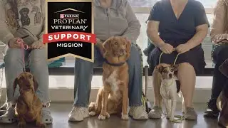 Pro Plan's Veterinary Support Mission Transforms Lives & Empowers Vets