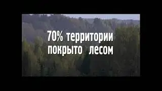 Фильм.  Природные ресурсы Костромской области