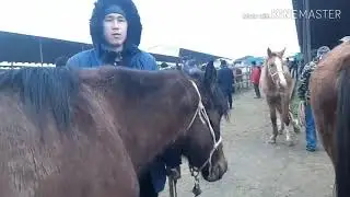 Карабулак мал базар 29.12.19 саума бие