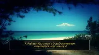 Идрис Абкар. Смертельная агония явится с истиной! (HD)
