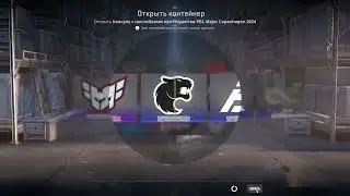 Открыл 160 капсул с наклейками Копенгаген 2024 и окупился! Открытие капсул PGL Major Copenhagen