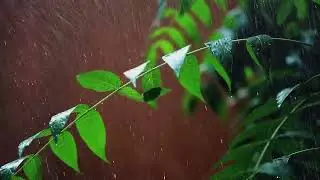 Som de Chuva Calmante 🌧 Som de CHUVA PESADA para relaxar, dormir e vencer a insônia