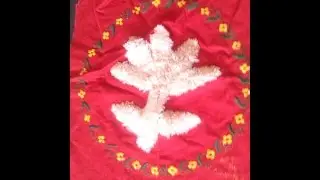 Embroidery Classes for beginners