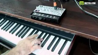 Korg Volca Bass Song in real time