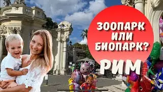 РИМСКИЙ ЗООПАРК: куда сходить с детьми в Риме?