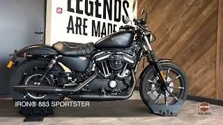 IRON 883 Harley-Davidson Sportster Black Denim