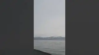 Авачинская бухта 🌊