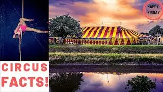 Circus Fun Facts