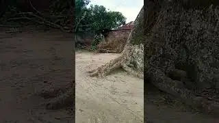 #dua #allah #islamic #islam #islamicstatus #রমজান #দোয়া #shortvideo #short #viral #tending #shorts