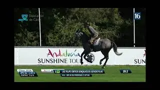 Fape Sir 99 du Piedroux , Stallion 2018 by Stakkato Gold x Scandix ( Sierra)