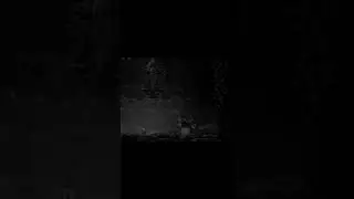 Hollow Knight Meme - Mandem F nos comentários por ele. #shorts