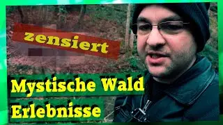 Wanderung in die Nacht und mystische Waldlandschaft | Fotowalk durch den Wald | Waldfotografie