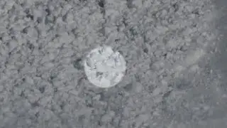 Weather Gone Viral: Bunny Outruns an Avalanche