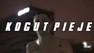 WHDT - KOGUT PIEJE