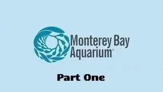Monterey Bay Aquarium Full Tour - Monterey, California - Part One