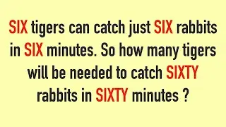 SIX tigers can catch SIX rabbits in SIX minutes Puzzle || Logical Math Puzzle