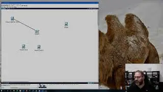Cisco Security - Part 1 - Port Security