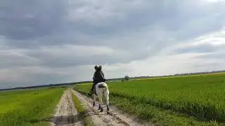 ☘️