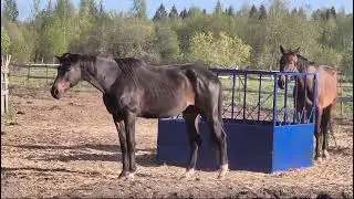 Кормушка под рулон разборная секционная для лошадей